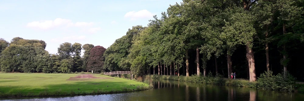 Lokaal Belang wil het groene kapitaal in het Schaffelaarsebos beschermen en behouden