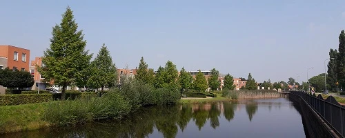 Lokaal Belang wil meer groen in de woonwijken
