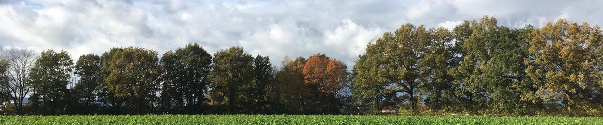 bedankt voor ondertekening van de petitie bomenplan Lokaal Belang Barneveld