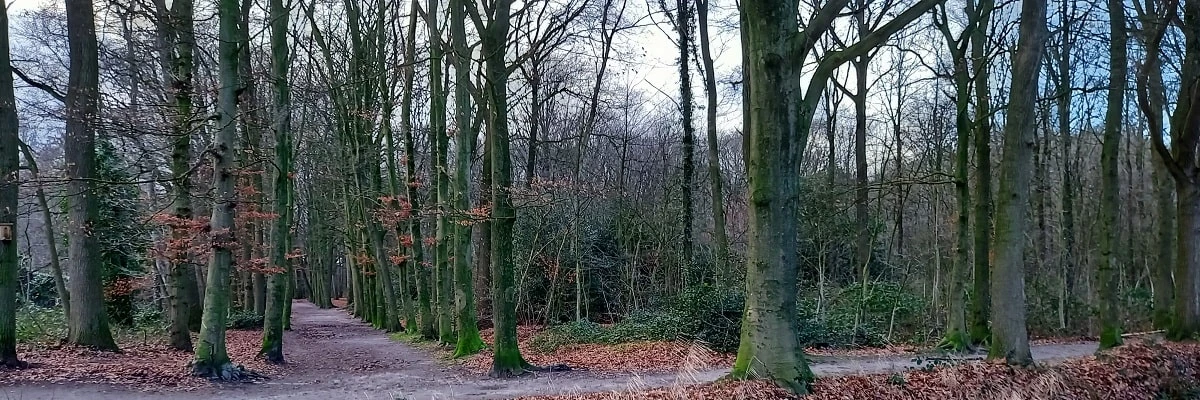 Groen en openbare ruimte: het Oosterbos in Barneveld