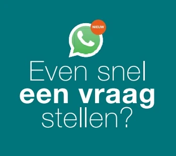 live chat what'sApp