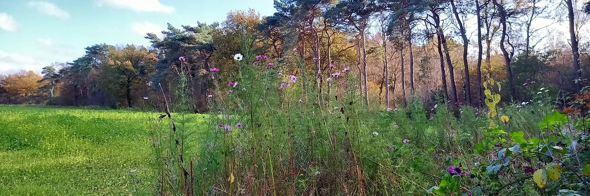 goede biodiversiteit van wezenlijk belang
