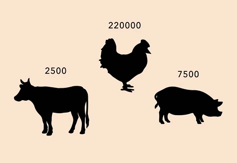 megastallen 7500 vleesvarkens, 220.000 vleeskuikens, 2.500 kalveren
