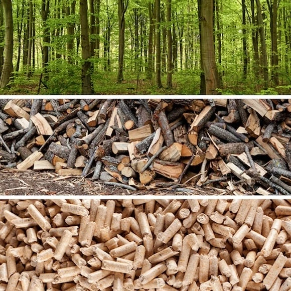 houtige biomassacentrale