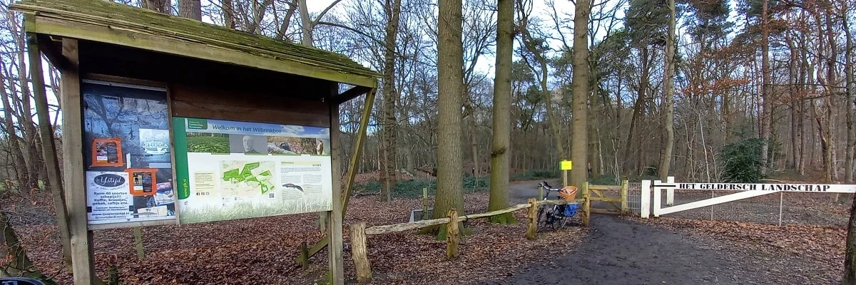 Wilbrinkbos in Voorthuizen