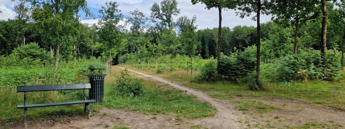Schaffelaarsebos