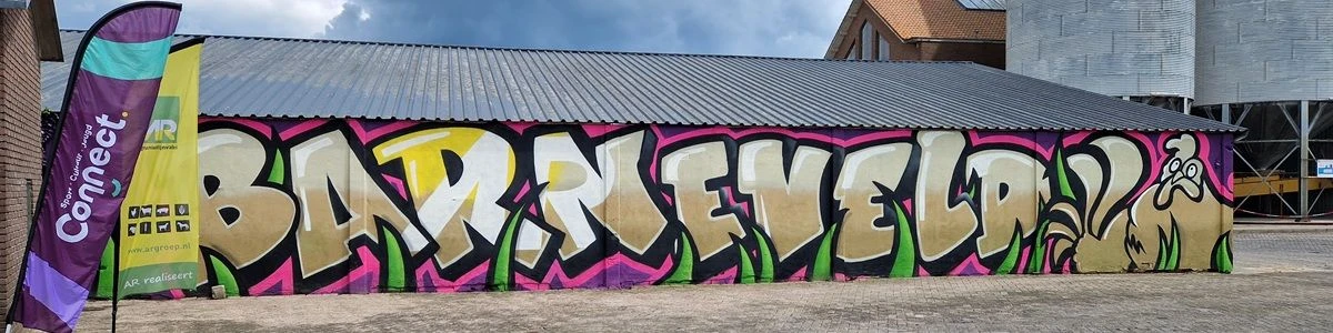 Cultuurparticipatie jongeren, streetart, rol van Connect