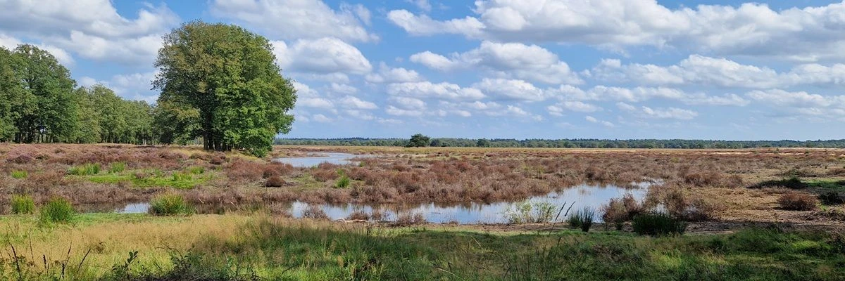 Flora en Fauna Stroese Heide