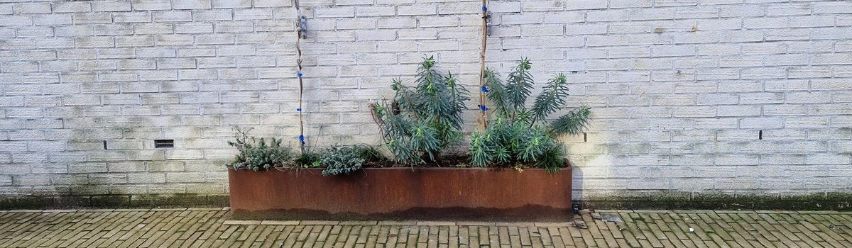 Groen in Barneveld, geveltuintjes