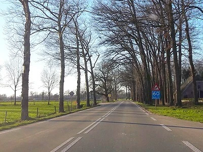 Lokaal Belang wil verbetering van de veiligheid op de Wesselseweg bij Kootwijkerbroek