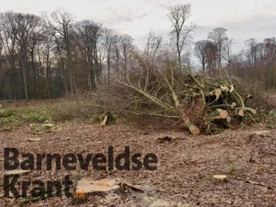 BK: LB wil commissie die bouwplannen op bestaand groen beoordeelt