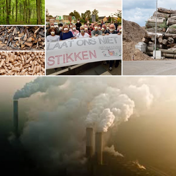 Energiebeleid in regio Barneveld moet beter, gezonder en ambitieuzer