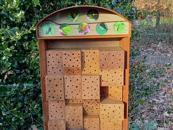 biodiversiteit, vlinderkast in het Schaffelaarsebos