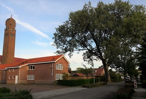 bomeninspectie o.a. Hugo de Grootlaan Barneveld