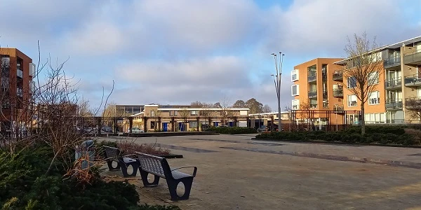 groene inrichting Oldenbarneveldplein
