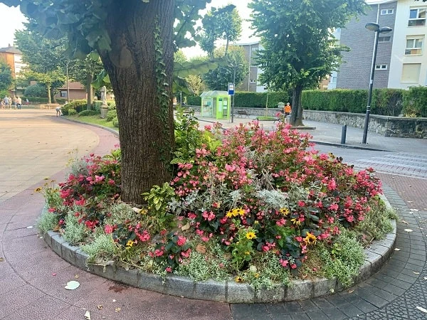 versterking flora en fauna, boomspiegels