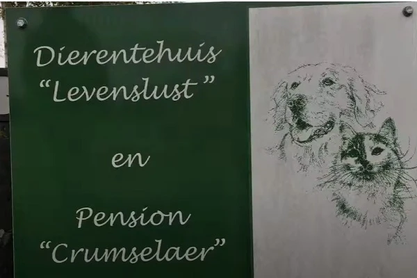 dierenasiel Levenslust Barneveld