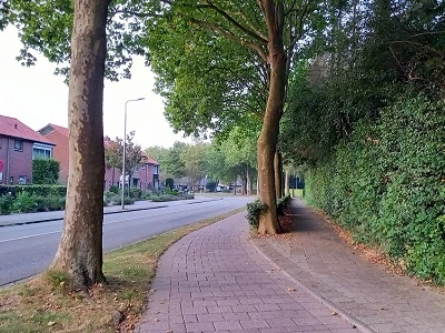 bomenkap t.b.v. verbreden fietspaden Voorthuizen