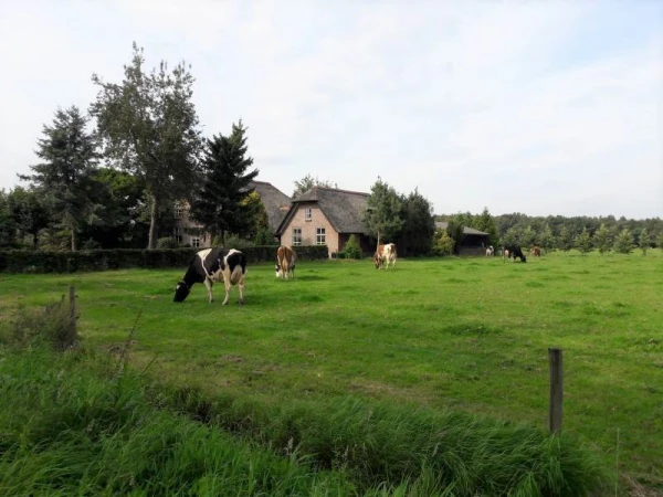 Lokaal Belang wensen en standpunten Terschuur