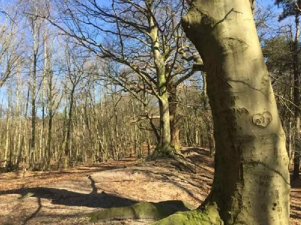 toerisme en recreatie Voorthuizen