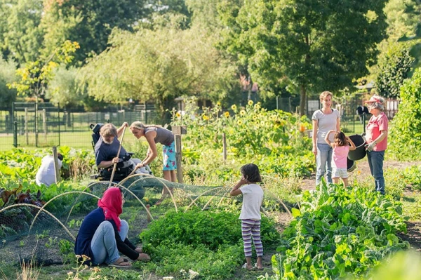 Schriftelijke vragen LB over het realiseren van een buurtmoestuin