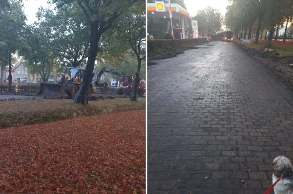 Schriftelijke vragen LB inzake stenen onder wegdek Apeldoornsestraat Voorthuizen