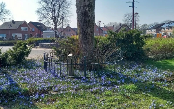 Meer groen rondom het plein in het centrum van Stroe o.a. boomspiegels