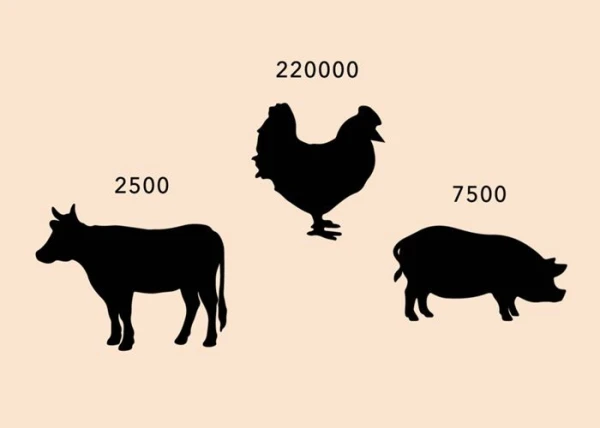 Dierenwelzijn, geen megastallen