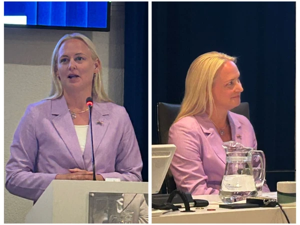 Afscheidsspeech wethouder Mijntje Pluimers - gemeenteraad 