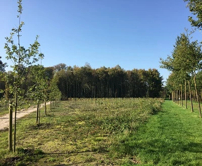 Het Schaffelaarse bos in Barneveld moet een recreatieve functie blijven houden